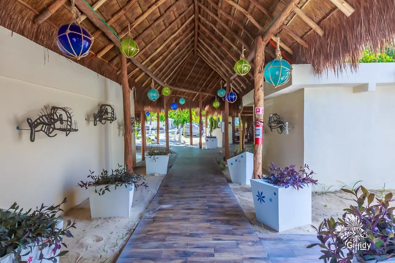 Hotel Paradise Suites Isla Mujeres