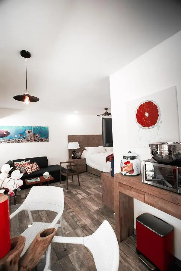 Hotel Paradise Suites Isla Mujeres México